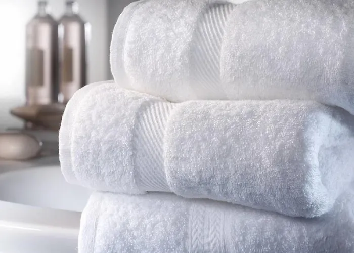 A Few Steps From Vatican Appartement Rome